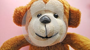 little brown monkey doll with round eyes