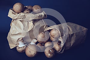Little brwon mushrooms in a paper bag