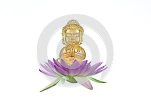 A little Buddha statue sitting on a pink lotus flower isolated on a white background