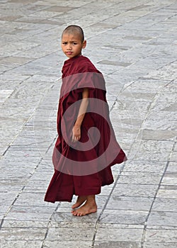 A little Buddhist monk in maroon robe looking deeply from afar