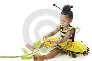 Little Bumble Bee in the Flower