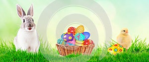 Little Bunny In Basket With Decorated Eggs and spring chicken - Easter Card. Space for text