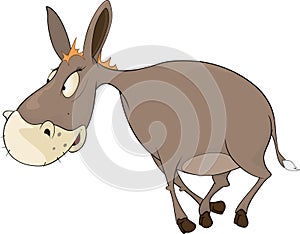 The little burro. Cartoon