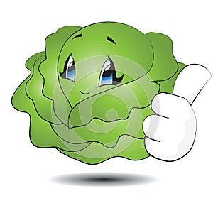 Little Cabbage