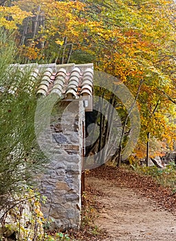 Little cabin on the woods