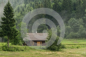 Little cabin in the woods