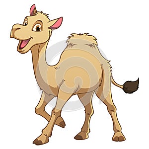 Little Camel Cartoon Animal Illustration