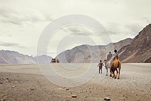 Little Caravan of camels goes to the mountain desert travel