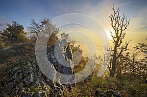 Little Carpathians,Slovakia, Vysoka hill at sunrise