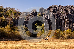 Little cart load in the field with limestone mountain in the background in Brazil