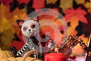 Little Cat Catrina skull - Day of the dead celebration