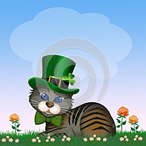 Little cat celebrate St. Patrick`s day