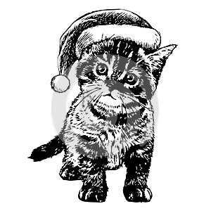 Little cat, kitten with christmas santa hat