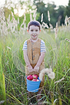 Little caucasian boy with bucket of apples
