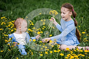 Little caucasian boy and girl sitting on dandelion flowers meadow