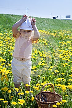 Little Caucasian girl playing in green grass meadow in yellow flowers in summer time