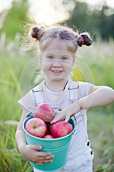 Little caucasian girl with bucket of apples