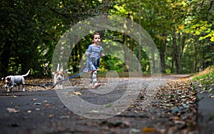 Little caucasian kids running around the autumn park with the dogs.