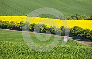 Little chapel and colored fields in spring time