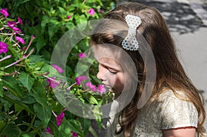 Little charming girl child sniffs a flower on a bush