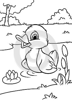 Little cheerful duckling pond swim animal character cartoon