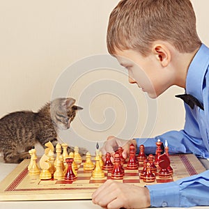 Little chessplayer with kitten plays chess.