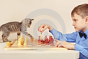 Little chessplayer with pretty kitten plays chess.