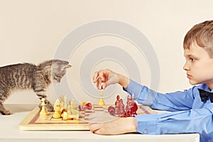 Little chessplayer with striped kitten plays chess.