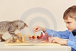Little chessplayer with tabby kitten plays chess.