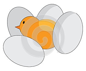 A little chick amidst four eggs without cracks vector or color illustration