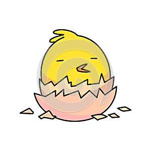 little chick hatching from an easter egg. flat vector illustration