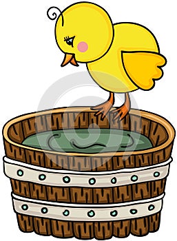 Little chick with wooden tub