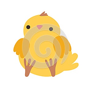 Little chicken character