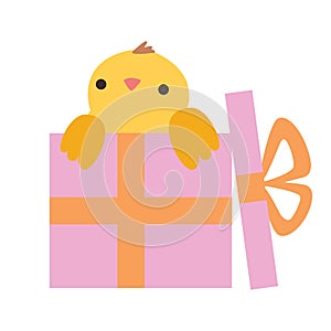Little chicken in the gift box