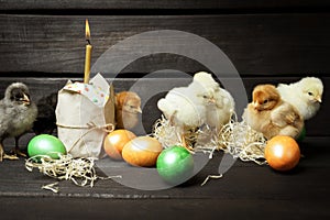 Little chicks Easter cake and colored eggs on a dark wooden background. Easter card