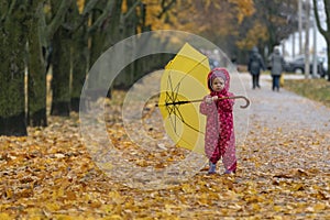 Little child in an autumn park with large yellow umbrella in park. Yellow foliage underfoot