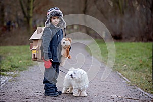 Little child, blond boy with pet dog, carying home on his back, kid, having paper house