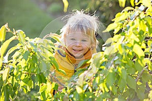 Little child, boy in yellow jacket, standing and hiding behind tree on sunset