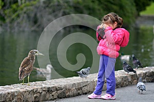 Little child with a camera photographing wildlife