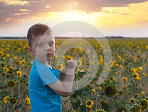 Little child at the field with sunflowers at sunset. The concept of a happy childhood. Outdoor recreation. Serious face kid