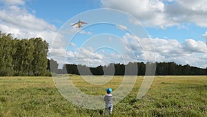 Little child flying kite in the woods