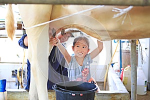 Little child girl training milking a cow by hands in dairy production farm