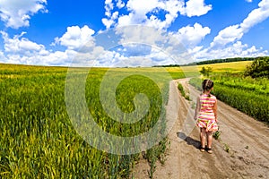 Little child girl walking alone on summer dirt road in green crop field.