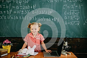 Little child have school lesson in mathematics. Cute girl do sums at mathematics on chalkboard. Math is for smart