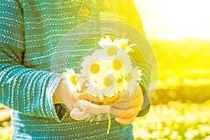 Little Child Is Holding A Bouquet Of Daisy Flower