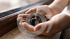 little child holding dirt sprout his hands. High quality photo