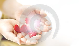 Little child holding red hearts, close up  on white background