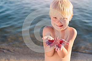 Little child holds starfish on his palm. Blond boy smiles and shows large starfish