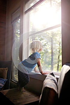 Little Child Looking out Window at Woods on Sunny Morning