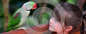 Little child looks at Alexandrine Parrot